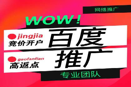 百度竞价托管外包成功案例：揭秘营销秘密